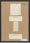 Cystopleura gibberula var. protracta Grun. (de-Toni-Nr.: Genus 103, Species 3129) Zeichnungen Sammlung Grunow Nr. 6420 (NHMW-BOT-W0375100)